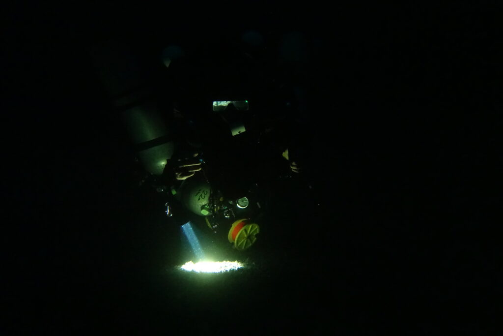テストダイブが行われたフィリピン・プエルトガレラの100m以深は光がほとんど届かない真っ暗闇だ