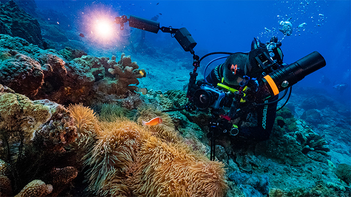 OrcaTorch ワイドビームライト 水中撮影 スキューバダイビング サンゴ礁照明 広角ライト